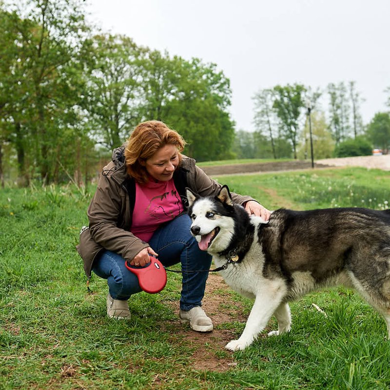 Care4yourpet 2