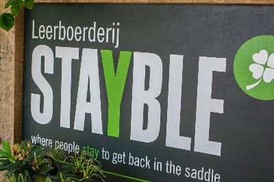 Herfststukje maken bij Stayble