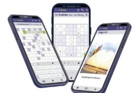 Puzzelbrein app